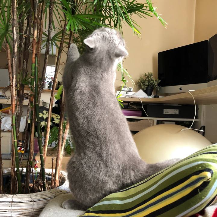 Bce8ef48 62b5 43ff 9b26 5e5629a851e5 1552702500079