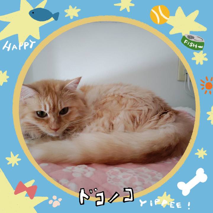 Bce901a4 cfe7 4bc6 89cd 4dff3f023ff8 1720836726078