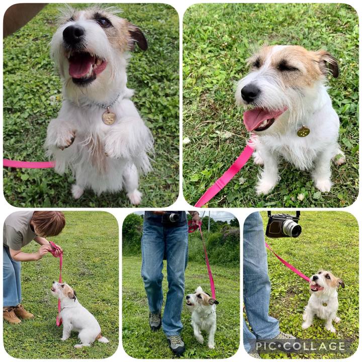 Bce903e3 a29a 4f2b 95f4 a5b4b8f9d934 1653227396752