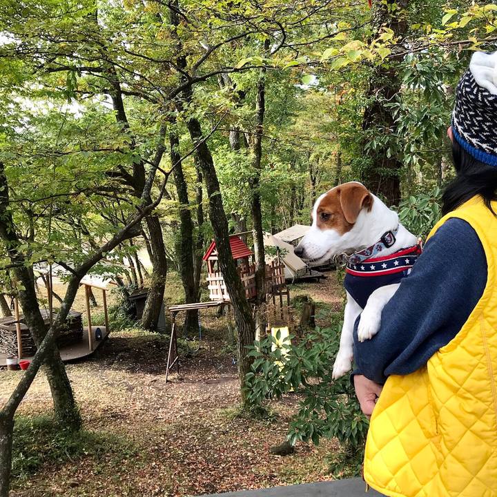 Bce90adb 79ef 4c63 8ec2 32f4dd6b2c92 1644922510164