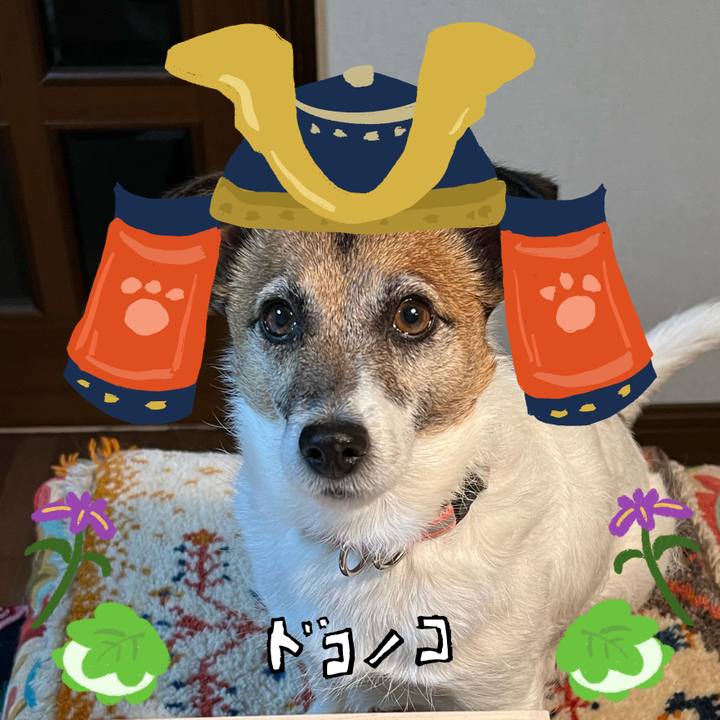 Bce9123f ce25 410e 8230 738340a50d60 1714887736154