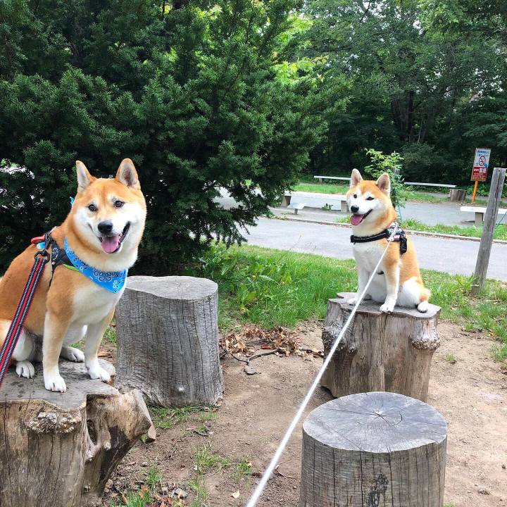 Bce9318d fa3b 46e9 a893 4bf1e6d6034c 1568168249643