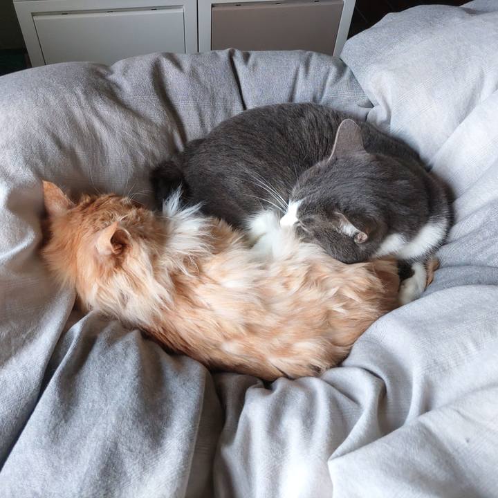 Bce9361e 00e9 4c06 a426 d4a0463cc904 1680663156093