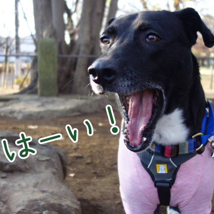 Bce94abc 8237 495a bde4 c13f392e7c4d 1640305514289