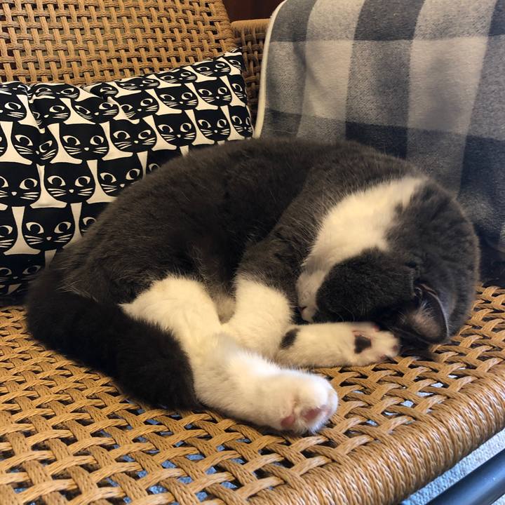 Bce950bc 3633 4719 88d8 87d65cf57431 1584615693891