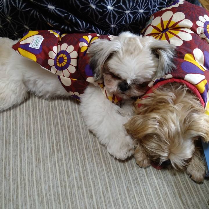 Bce96fd9 42ca 4ced 9701 8c4d9b96e10f 1609295833836