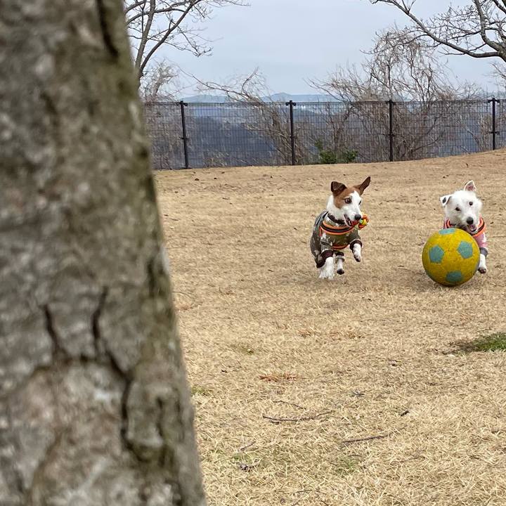 Bce982c5 fec2 4447 94ef 62d98f8108ff 1771201270029