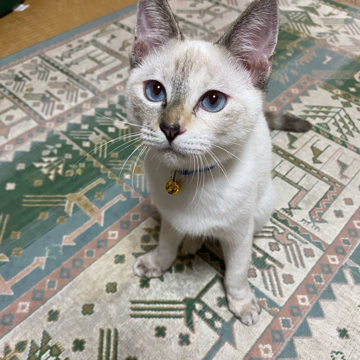 Bce98a8e c1f7 4261 ad42 fbddf7241759 1632657275862