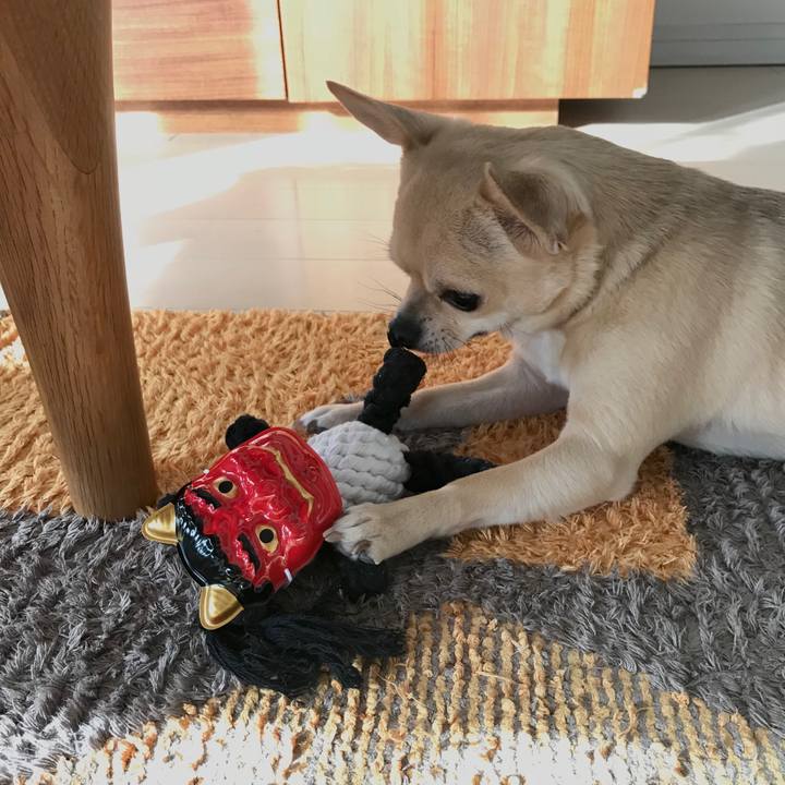 Bce9a179 3648 494d 8b0f fdec1f92e471 1517616659980