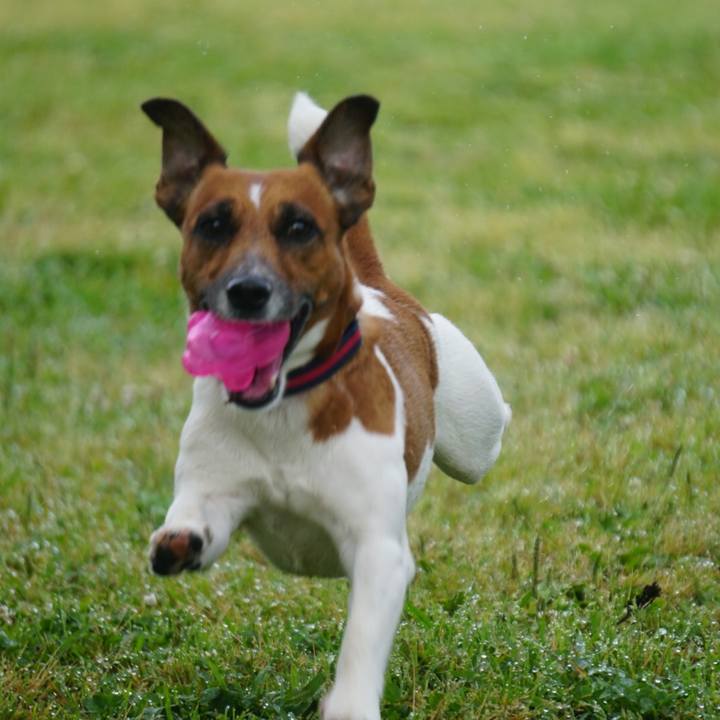 Bce9a44f 1259 4e94 a8a3 b280d866c4f8 1527722077145