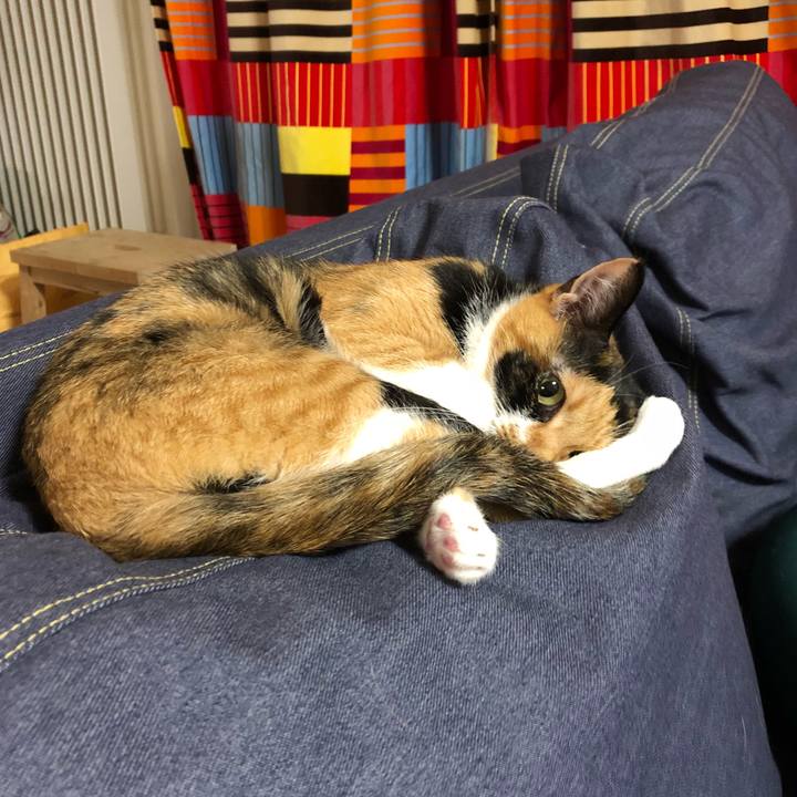 Bce9b15b 5bf7 4db1 b05c c0e0ee5dfe94 1535288150929