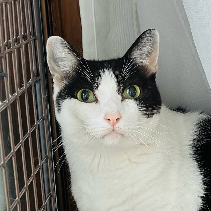 Bcea0fa3 268c 43a0 ad22 bf7de0b66ef3 1697510068834