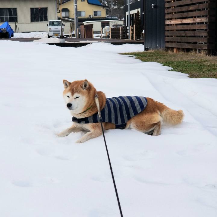 Bcea278e 1c4b 47d3 abaa c1a0748a3e18 1673668175254