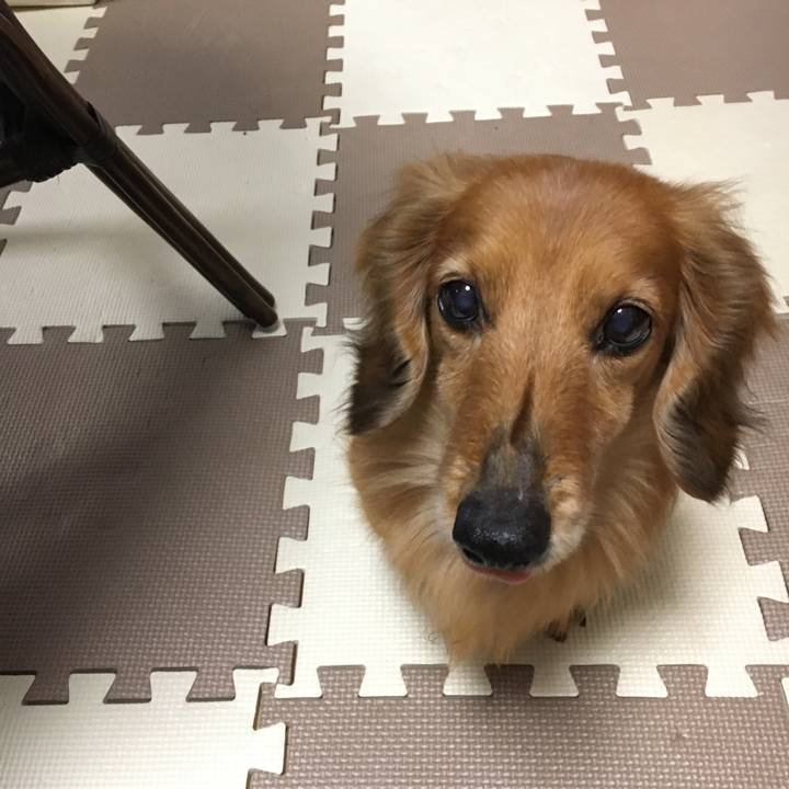 Bcea5749 570e 4cd1 8264 fea854b01cf1 1586783341332