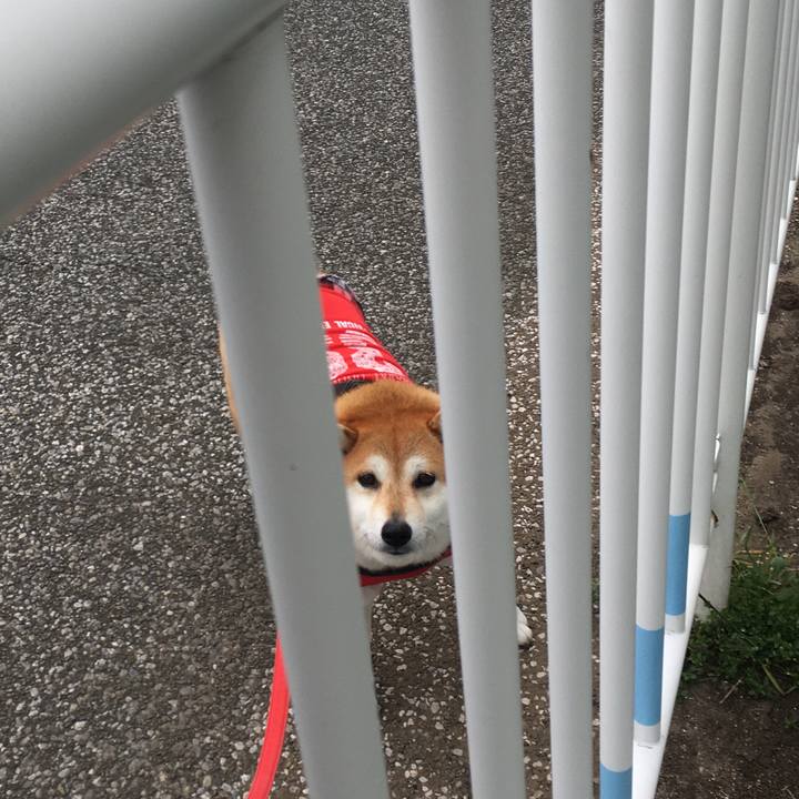 Bcea5b39 b285 489f a833 636398493cf2 1614304932314