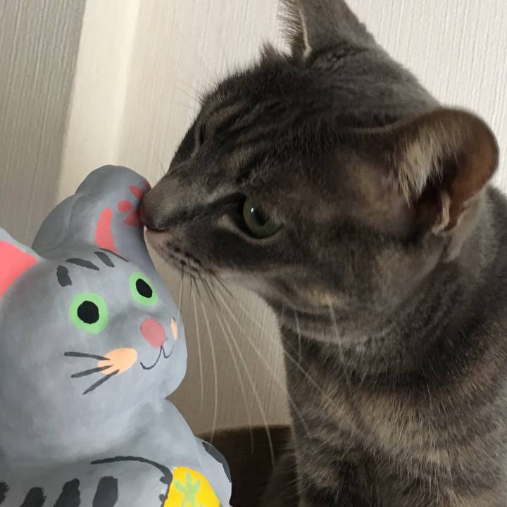 Bcea72b5 5e73 4d70 8961 a897dc8fc83d 1521861964946