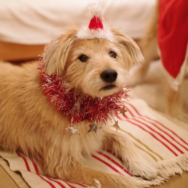 Bceaa862 3b6d 4e7e 9705 5a2b082d02ac 1640425493242