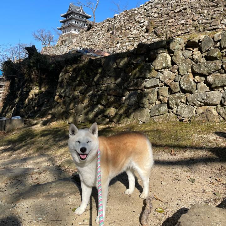 Bceabb00 353e 4fdd a71b 8b9d90bbc5cf 1641942961687