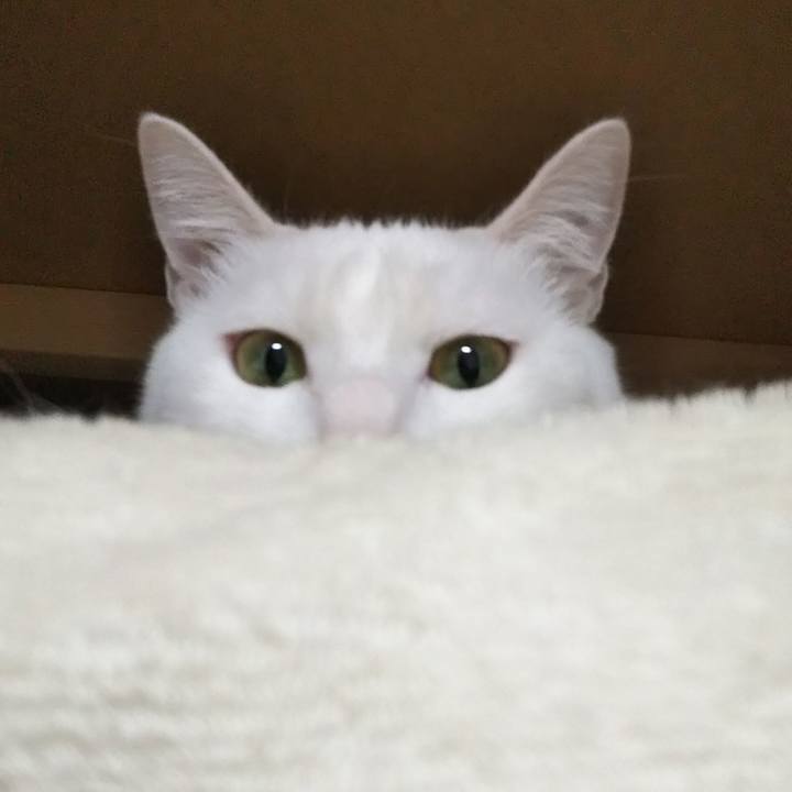 Bcead3f8 5b02 43ad 8a94 d5c2db9a153d 1641078084195