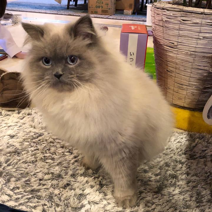 Bceb137a c3f2 4146 a107 41951ed0b7fc 1548673405318