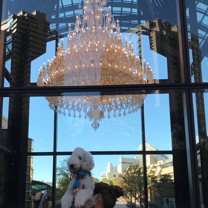 Bceb4257 a4be 444b bb45 2eed3d7f555f 1637741340563