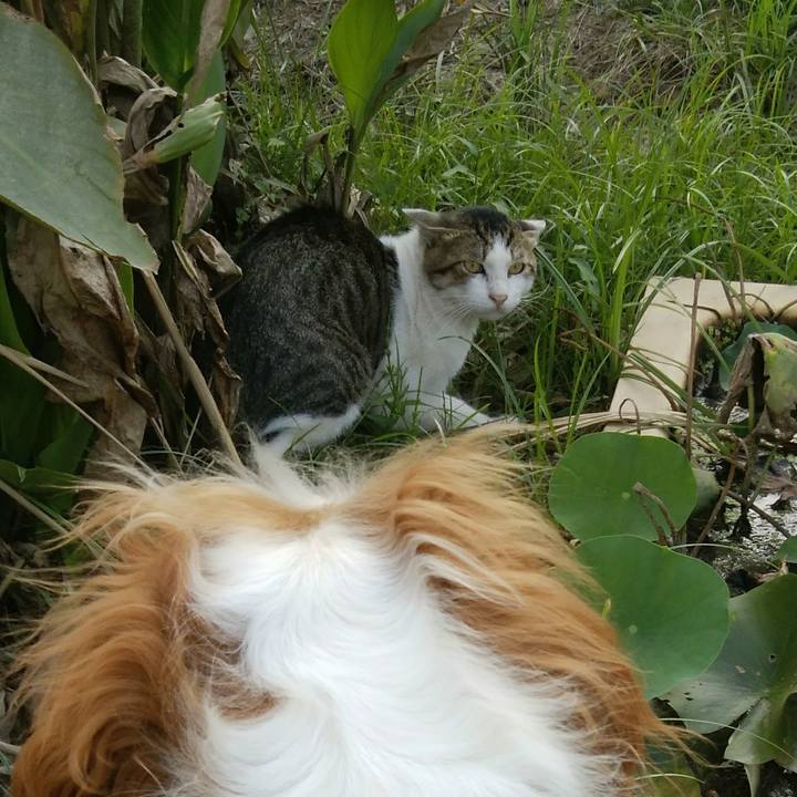 Bceb545c 87eb 42b5 8596 d81d89c73537 1534764670244