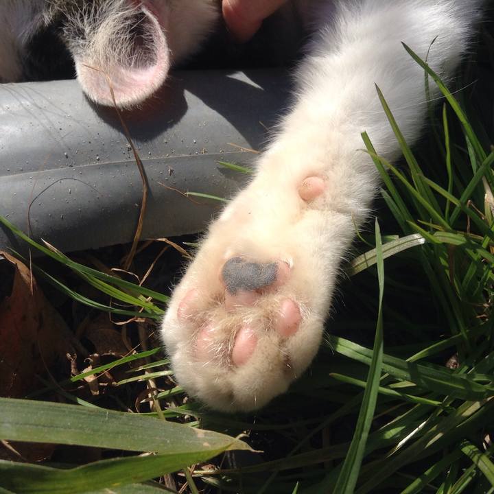 Bceb5892 0e68 45ef bd72 1b0c3a8a5f84 1513604847710