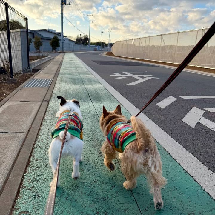 Bceb72dd 8a2e 4d9a 844b 9fe09e74af51 1771678292653