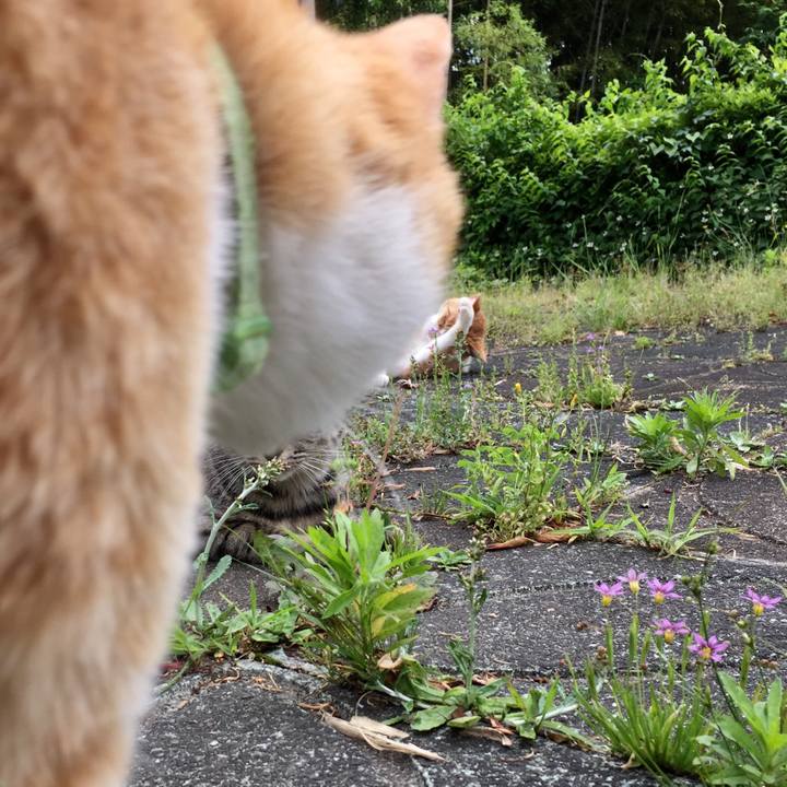 Bcebaeae 7d8e 4bfc 81fc 779fd8a5df7e 1527329537611