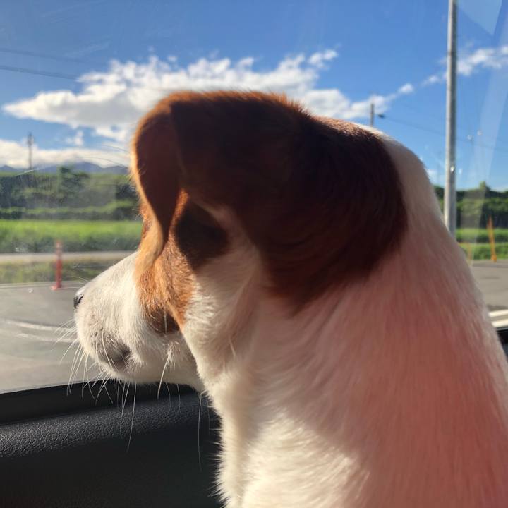 Bcebb832 d139 4a4b baa8 ae14d87acfa3 1568278293018