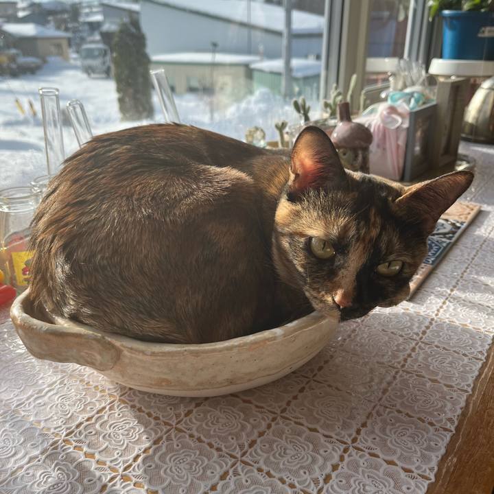 Bcebeb44 3a88 4886 89e4 c85bb023874a 1675470406375