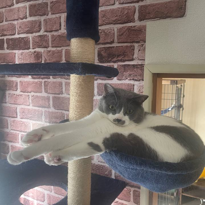 Bcebf103 18c5 4d7d a811 76d3aa483da1 1665701595851