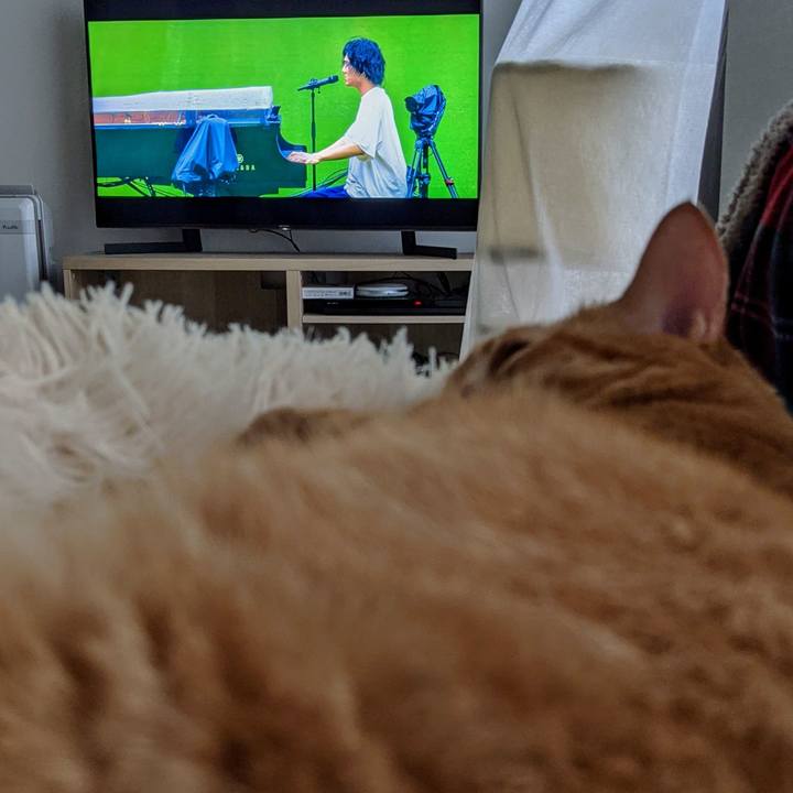 Bcec0719 bbab 4d52 a4c5 b5c4b8e650b3 1630730248733