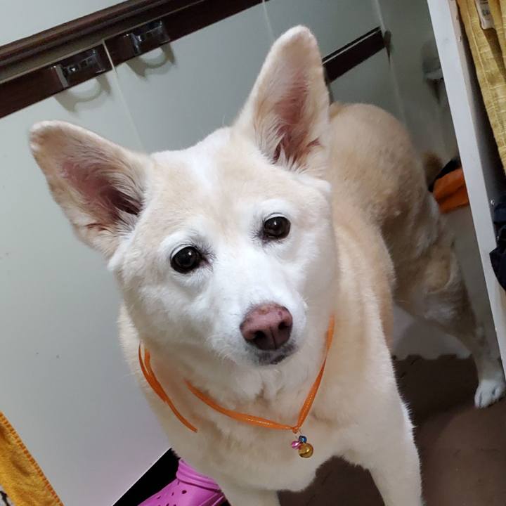 Bcec17ab 8e9e 47b8 8aec b41db9d45ed5 1623932867698