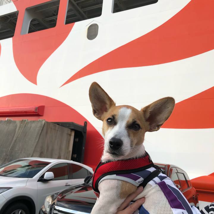 Bcec45bd 20ad 4c38 9f69 7d018af6d43a 1571730937993