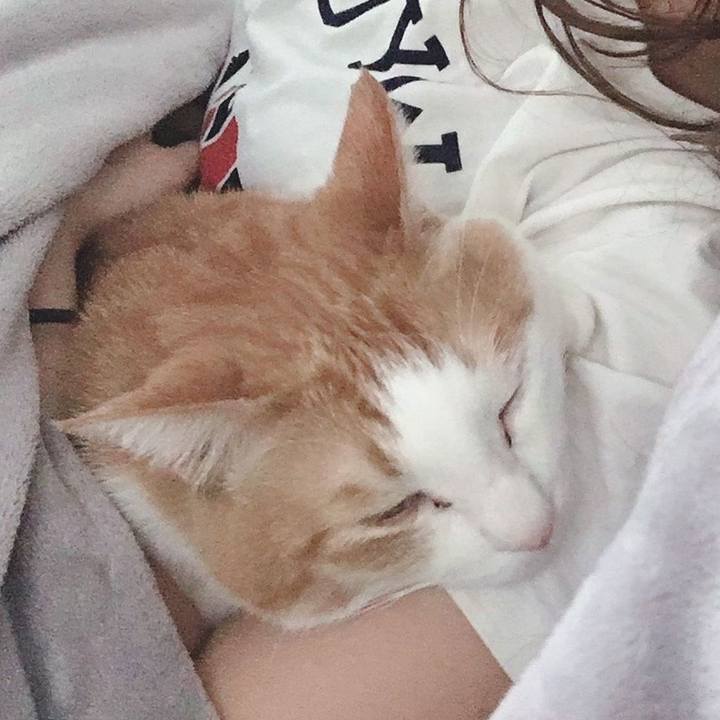 Bcec9f71 7834 4f6b b05f 4ac202373739 1586385373791