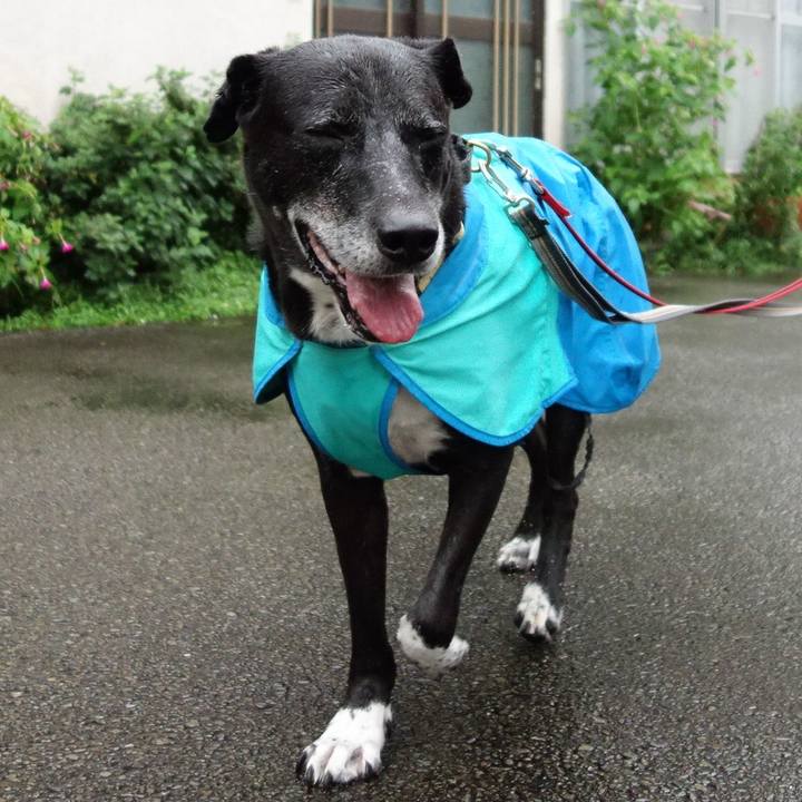 Bcecc883 80f0 44e7 b218 048f2716a61f 1728342997024