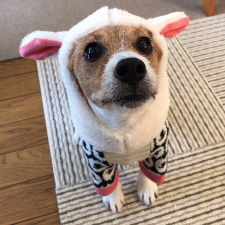 Bcece73b 04ee 41ad a45a 5043775b6009 1571230442587