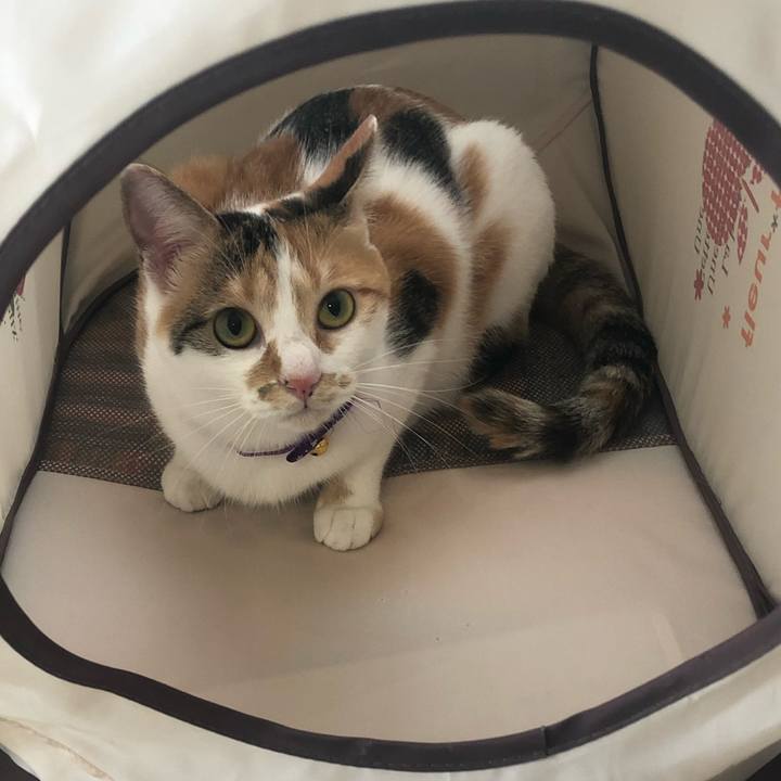 Bced13da 9ad6 4c76 98a1 16cc946918b0 1600904262171