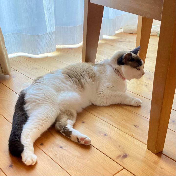 Bced35bd 983e 4fd2 a255 3db1ba19e7ee 1675557317161