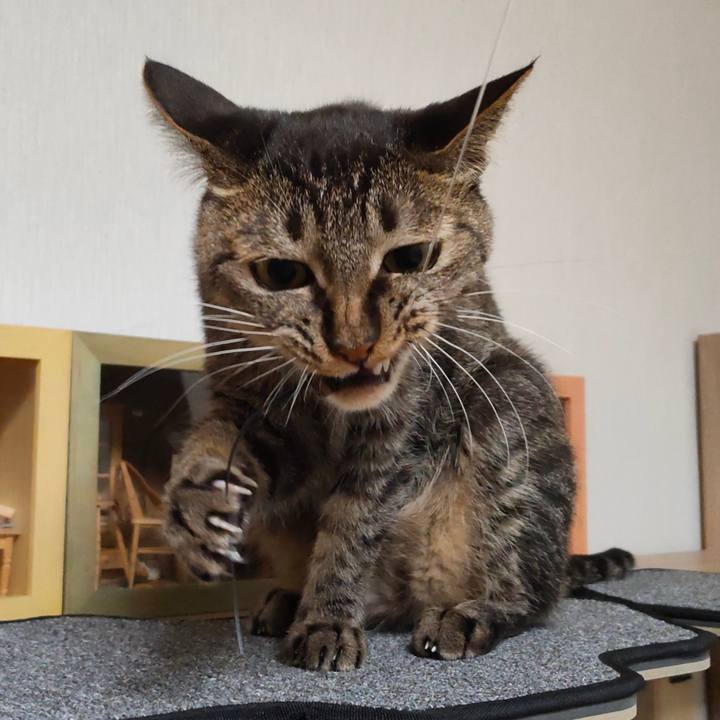 Bced689f 2dc8 4916 a3d4 938409e3e20b 1767946079520