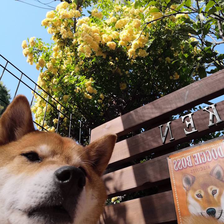 Bcedbcfc 0aaa 4959 a099 5c9e65db926c 1618897192271