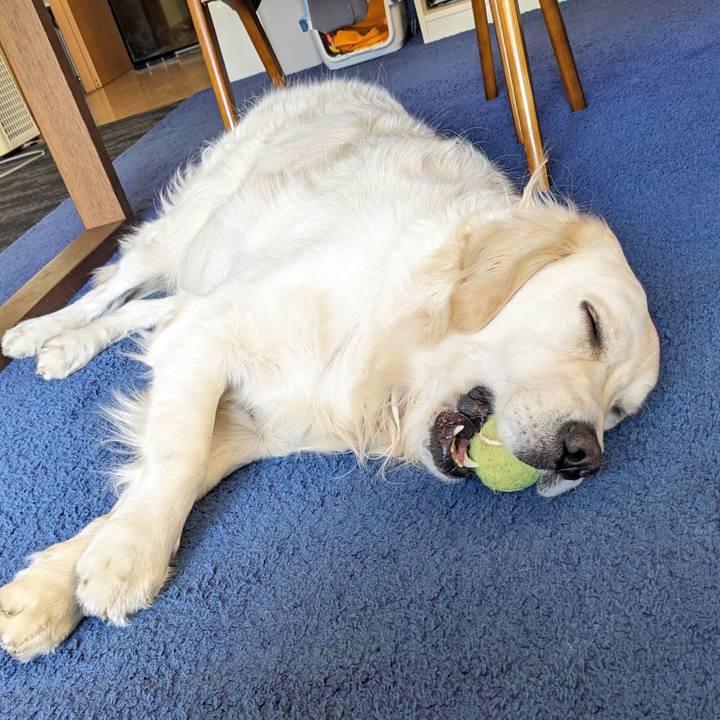 Bcedc195 c56f 48ef a6b3 93b6905ba911 1772325184826