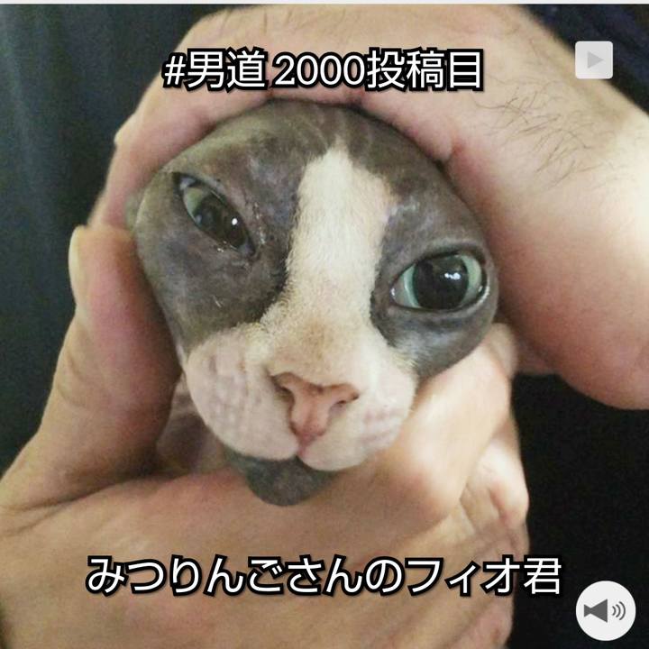 Bcedc8c0 9459 43fb b560 10bba325a5ce 1565857993069