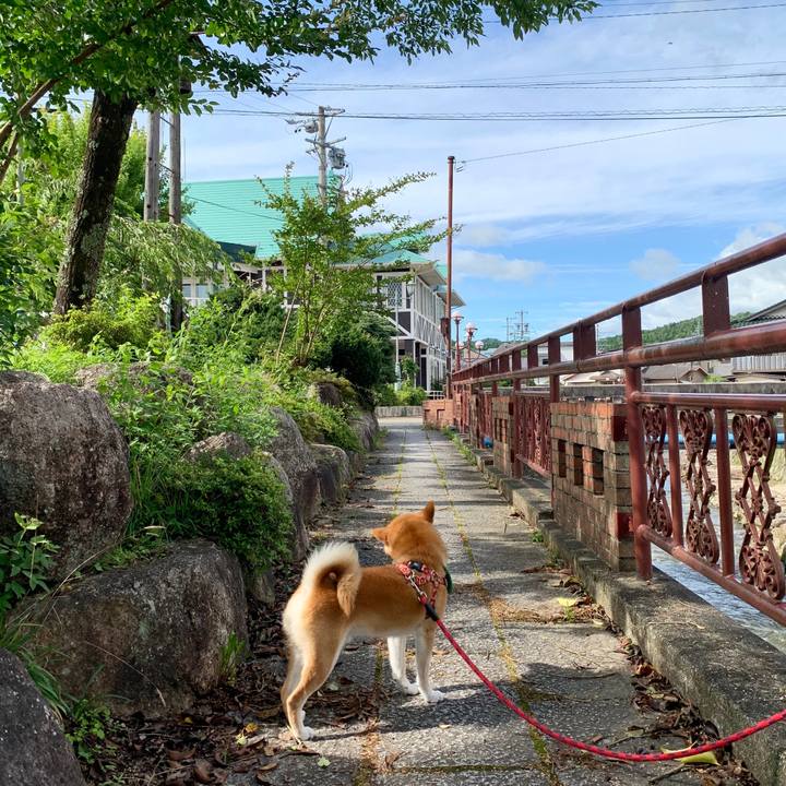 Bcedfabe 777a 4a2d b149 4144f4c8f614 1594544092917