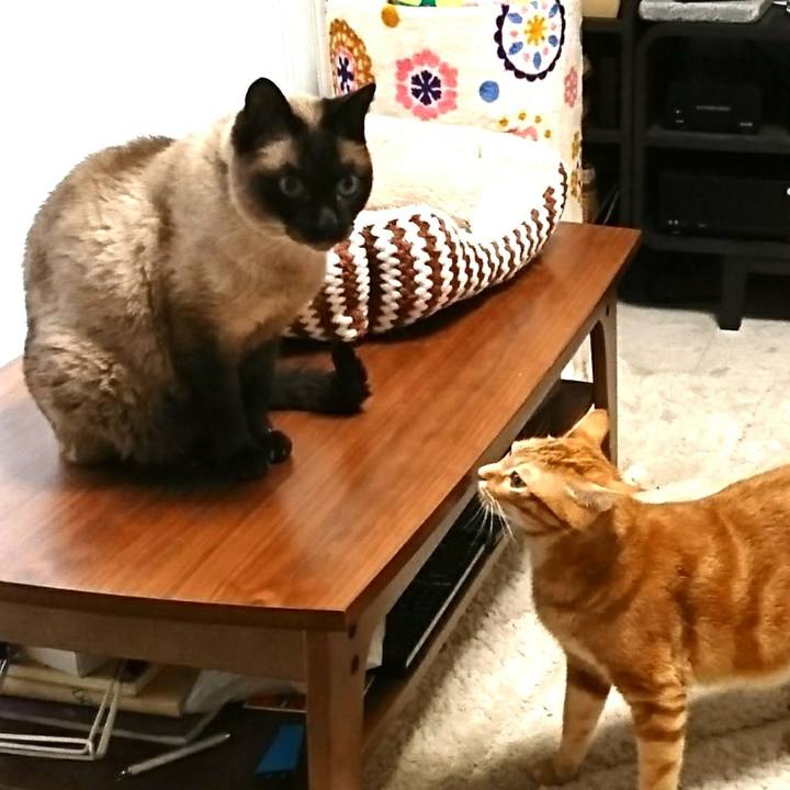 Bcee241a 2292 43a2 becb 7eeaa002653f 1527401605141