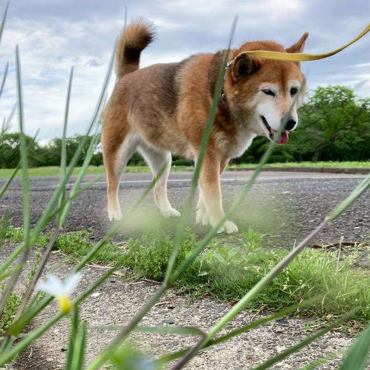 Bcee3874 5fb6 4aa1 b891 6c1cfb668141 1651031004554