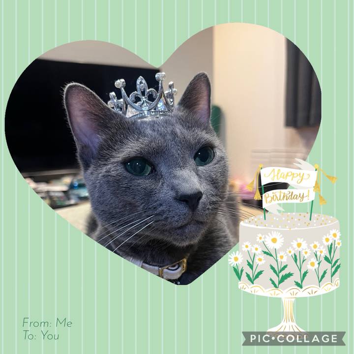 Bcee3ee1 b1a8 4712 888e 330f6083a15f 1746499311241