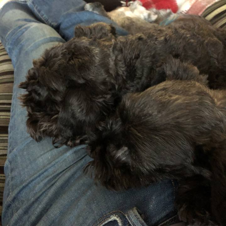 Bcee50b0 4066 47ea 92ca 8ca314af3733 1585901320710