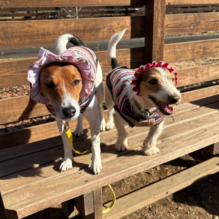 Bcee71fc 5672 44f2 973e e69c8ae62c00 1766331004016